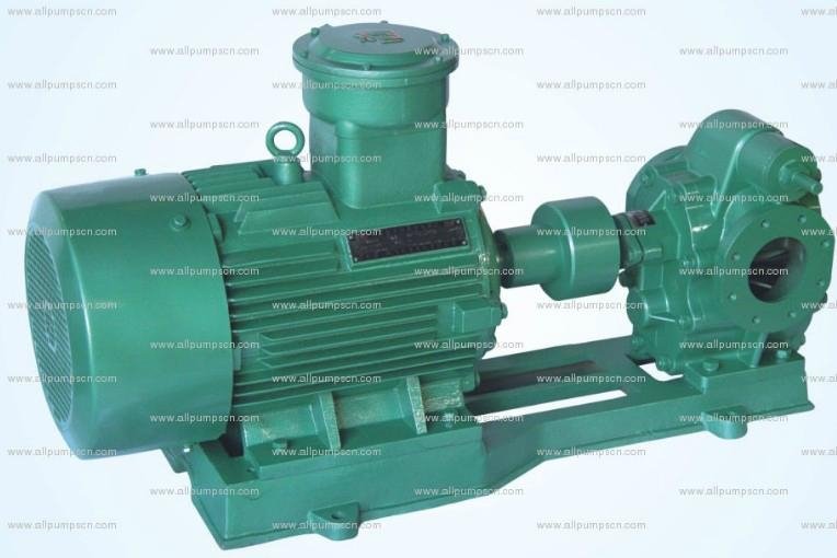 Electric Gear Oil Pump For Diesel And Gasoline Transfer With Rotary Gear Pump 5