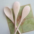 Wooden Spoon