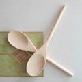 Wooden Souvenir Spoons