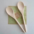 Wooden Souvenir Spoons 2