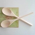 Wooden Souvenir Spoons 3