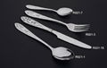 JX-R021 flatware