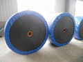 Steel Cord Conveyor Belt