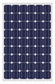 Solar module