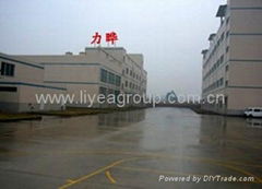  liyea electrinic group (hk) co.,ltd