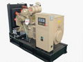 Diesel Generator