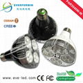 2013 New PAR30 40W led spot light 