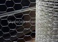 Hexagonal Wire Netting with Best Price 1