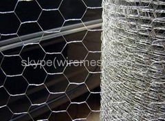 Hexagonal Wire Netting with Best Price