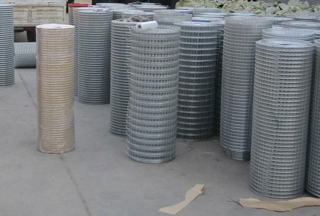 Welded Wire Mesh from factory