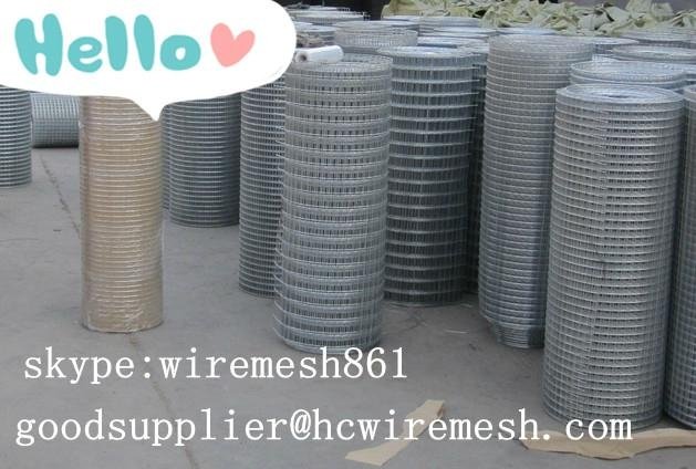 Welded Wire Mesh from factory 2