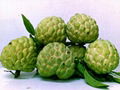 fresh annona