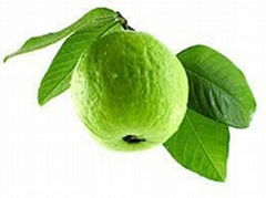 Fresh Guava