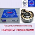 NSK Cylindrical Roller Bearings Heavy Duty NU2236EM NU2236E NJ2236EM 