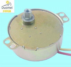 synchronous motor