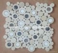  High Quality Penny Round Mosaic 3