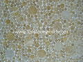  High Quality Penny Round Mosaic 4