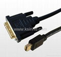 DP to DVI cable  3