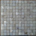 wholesale fresh water white mop shell mosaic 2