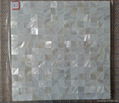 wholesale fresh water white mop shell mosaic 3