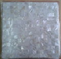 wholesale fresh water white mop shell mosaic 4