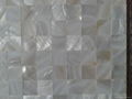 wholesale fresh water white mop shell mosaic 5