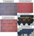 Asphalt Shingle 1