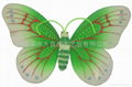 butterfly 4