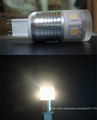 LED Bulbs