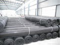 High Tensile Strength Plastic Geogrid