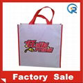 Non woven laminated bag 4