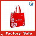 Non woven laminated bag 5