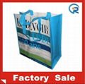 Non woven laminated bag 3