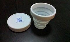 Environmenteally friend silica folded cups