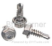 stainless steel self drilling screw 5