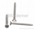 stainless steel  tapping Screws