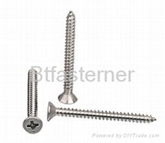 stainless steel  tapping Screws