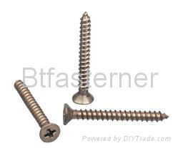 stainless steel  tapping Screws 2