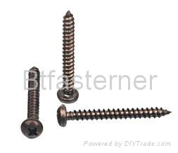 stainless steel  tapping Screws 3