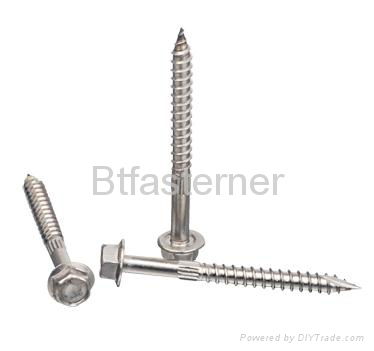 stainless steel  tapping Screws 4