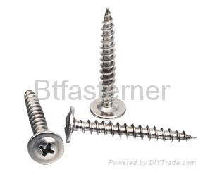 Drywall screw 2
