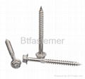 stainless steel tapping screw 2