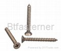 stainless steel tapping screw 4
