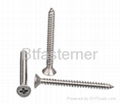 stainless steel tapping screw 5