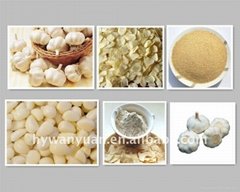 Huaiyang County Wanyuan Garlic Foods Processing Industries Co.,Ltd
