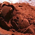 Natural and Alkalized Cocoa Powder