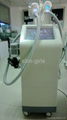 Double cryolipolysis heads slimming machine with lipo-laser paddle 4