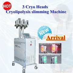 Cold and hot cryolipolysis working heads slimming machine