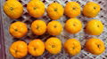 Nanfeng Baby Honey Mandarin Orange 4