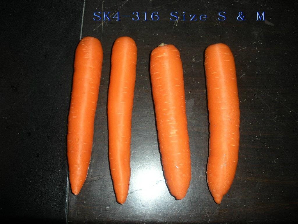 fresh carrots 4